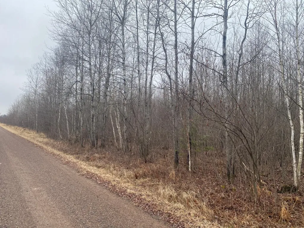 On Shauger Road Ogema WI 54459