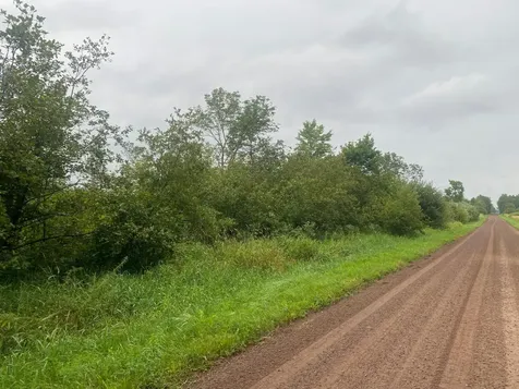 On Shauger Road Ogema WI 54459