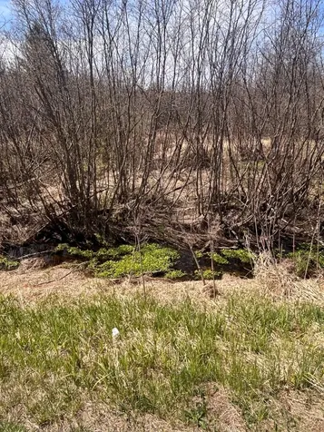 N4021 Cth C Prentice WI 54556