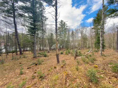 2086W Collins Road Mercer WI 54547