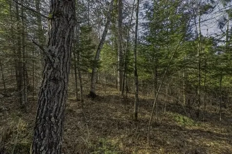 Lot # 8 Cth H Boulder Junction WI 54512