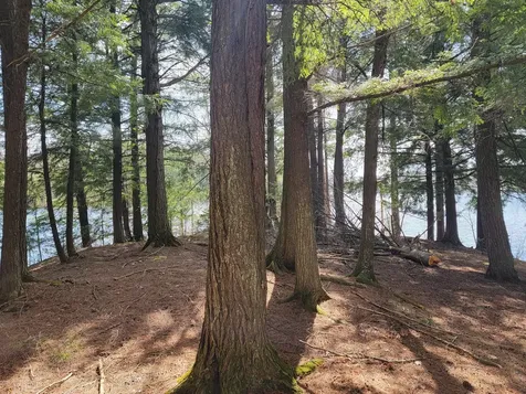 4526W Deadwood Road Park Falls WI 54552