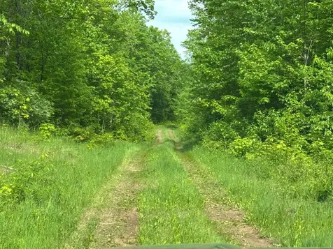 Off Camp 6 Road Ironwood MI 49938