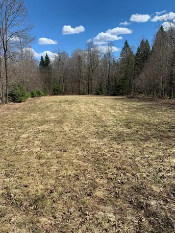 Off South Park Road Butternut WI 54514
