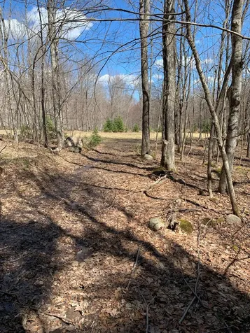 Off South Park Road Butternut WI 54514
