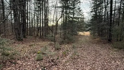 Off South Park Road Butternut WI 54514