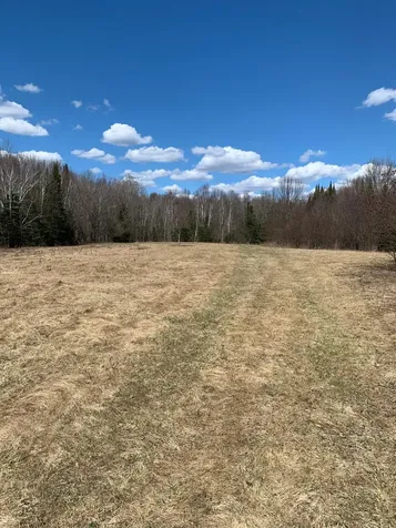Off South Park Road Butternut WI 54514