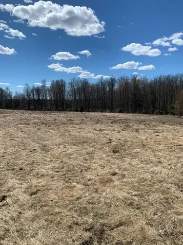 Off South Park Road Butternut WI 54514