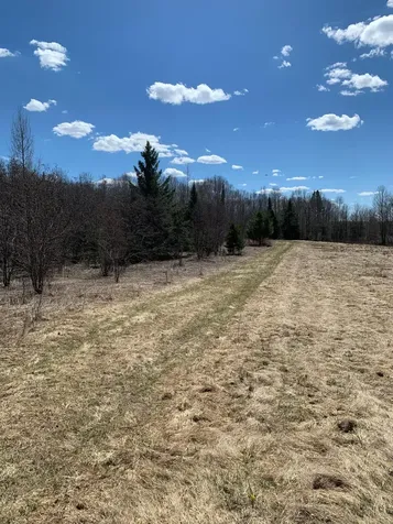 Off South Park Road Butternut WI 54514