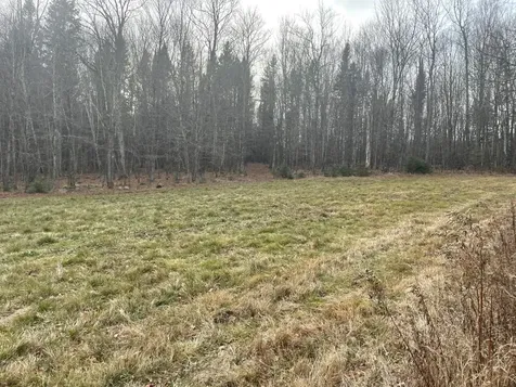 Off South Park Road Butternut WI 54514