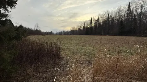Off South Park Road Butternut WI 54514