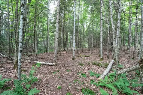 7661 Lone Pine Drive Presque Isle WI 54560