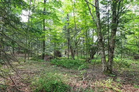 7661 Lone Pine Drive Presque Isle WI 54560