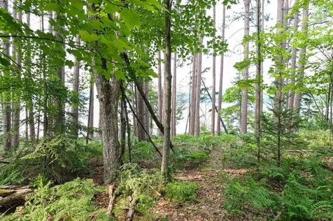 7661 Lone Pine Drive Presque Isle WI 54560