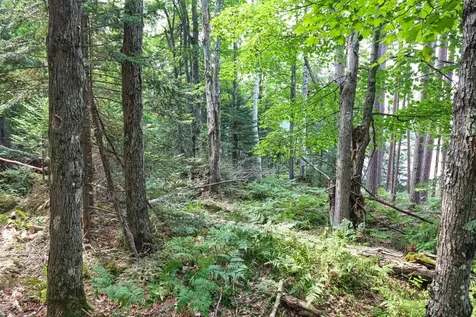 7661 Lone Pine Drive Presque Isle WI 54560
