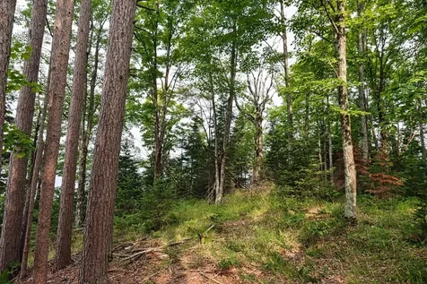 7661 Lone Pine Drive Presque Isle WI 54560