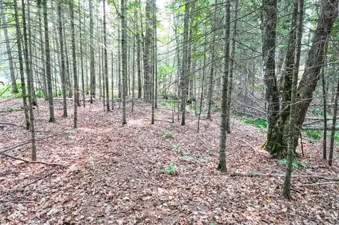 7661 Lone Pine Drive Presque Isle WI 54560