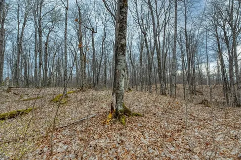 Off Johnson Lane Winchester WI 54557