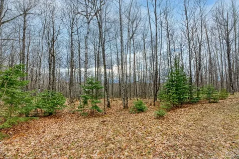 Off Johnson Lane Winchester WI 54557
