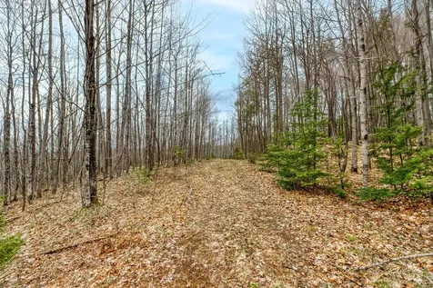 Off Johnson Lane Winchester WI 54557