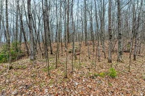 Off Johnson Lane Winchester WI 54557
