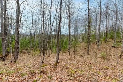 Off Johnson Lane Winchester WI 54557