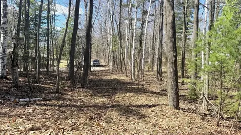 Lot Point Drive Summit Lake WI 54485