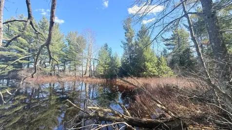 Lot Point Drive Summit Lake WI 54485