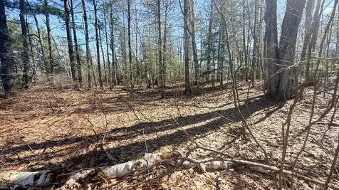 Lot Point Drive Summit Lake WI 54485