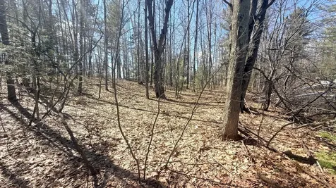 Lot Point Drive Summit Lake WI 54485