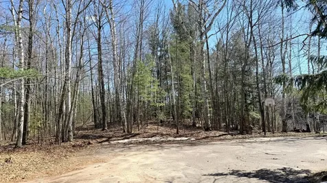 Lot Point Drive Summit Lake WI 54485