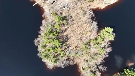 Lot Point Drive Summit Lake WI 54485