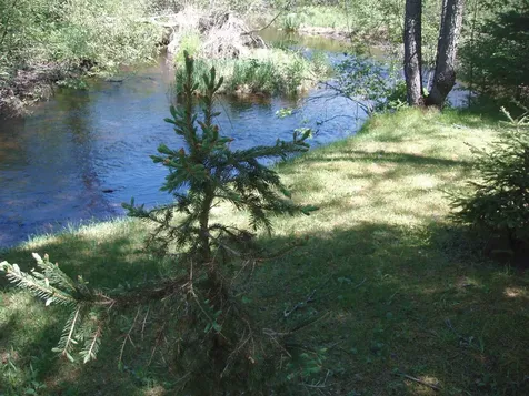 W9798 Fleming Road Park Falls WI 54552