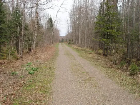 W9798 Fleming Road Park Falls WI 54552