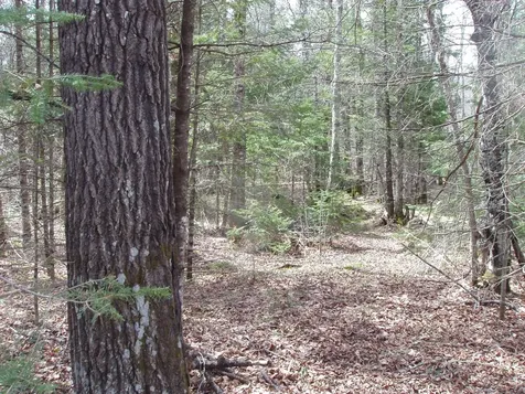 W9798 Fleming Road Park Falls WI 54552