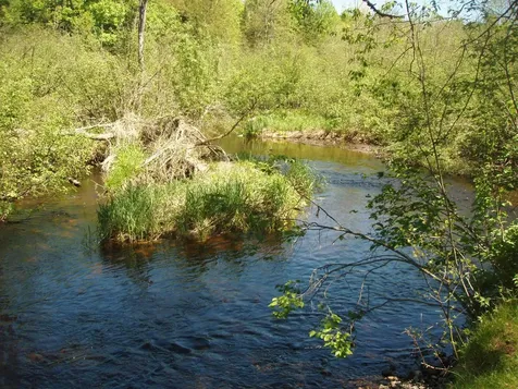 W9798 Fleming Road Park Falls WI 54552