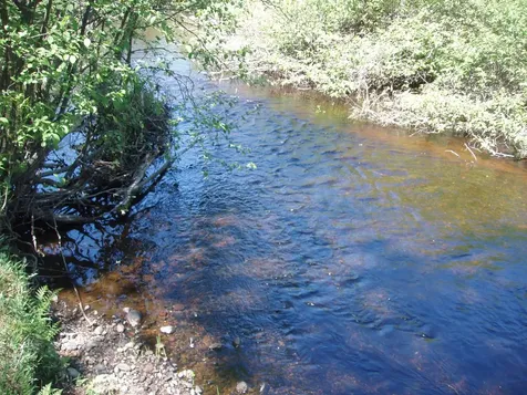 W9798 Fleming Road Park Falls WI 54552
