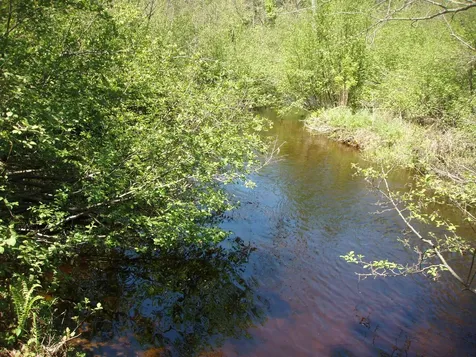 W9798 Fleming Road Park Falls WI 54552