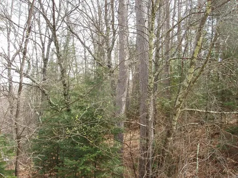 W9798 Fleming Road Park Falls WI 54552