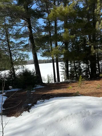12893 Rocky Point Lane Lac Du Flambeau WI 54538