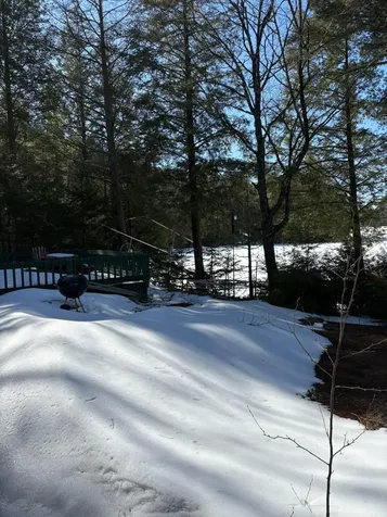 12893 Rocky Point Lane Lac Du Flambeau WI 54538