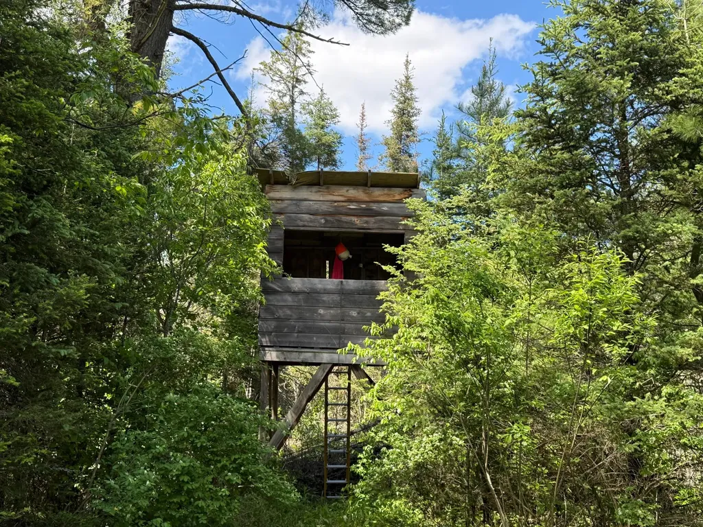 7685 Old B Road Land O Lakes WI 54540