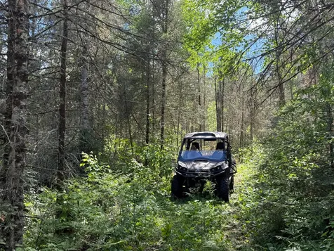7685 Old B Road Land O Lakes WI 54540