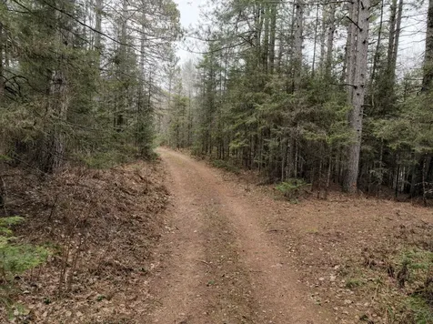 7685 Old B Road Land O Lakes WI 54540