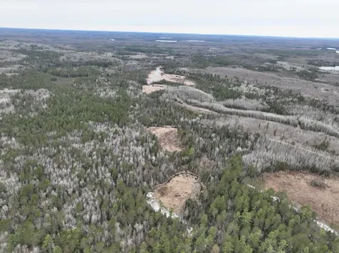 7685 Old B Road Land O Lakes WI 54540
