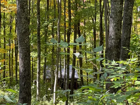 Off County Line Lake Road Haight Twp MI 49912