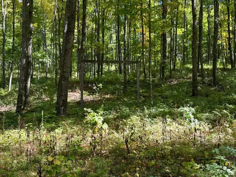 Off County Line Lake Road Haight Twp MI 49912