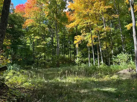 Off County Line Lake Road Haight Twp MI 49912
