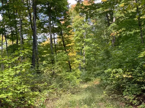 Off County Line Lake Road Haight Twp MI 49912