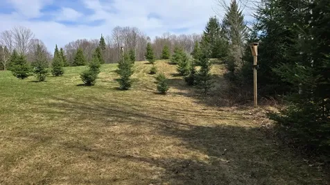 W11299 Brookside Road Antigo WI 54409